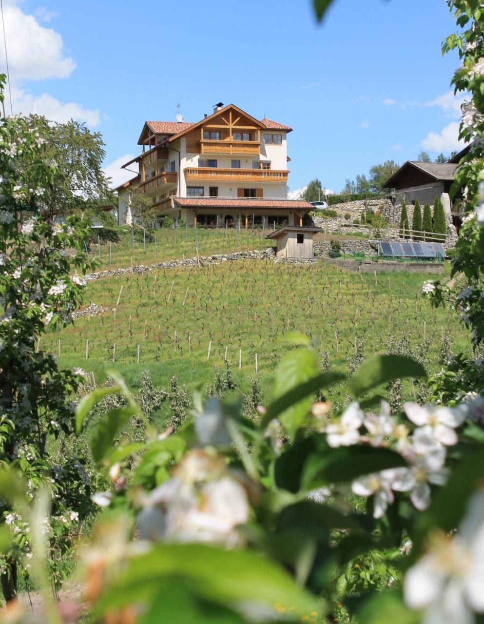 Trinnerhof- Hof Chalets Und Obsthof Mit Zimmer Natz-Schabs Exterior foto